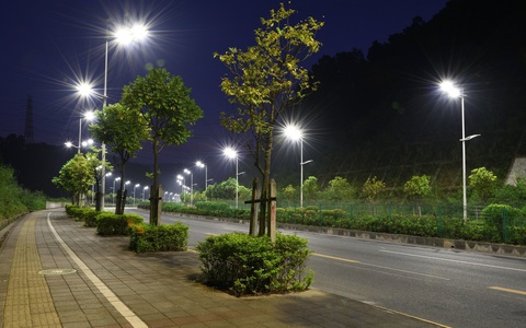 Đèn LED chiếu sáng đường phố làm giảm số lượng côn trùng