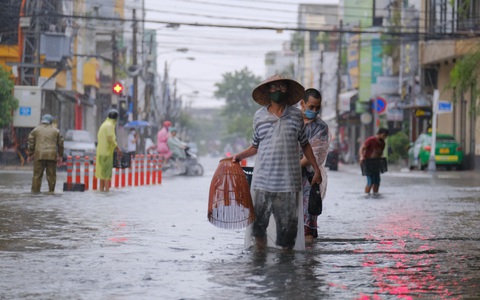 Mưa ngập nội thành, người dân Đà Nẵng ra đường bắt cá