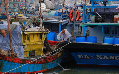 Ngư dân Đà Nẵng mang tàu thuyền lên đường, néo vô cây... đề phòng bão số 6