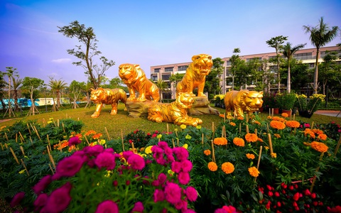 Vườn hoa Xuân Gem Sky World