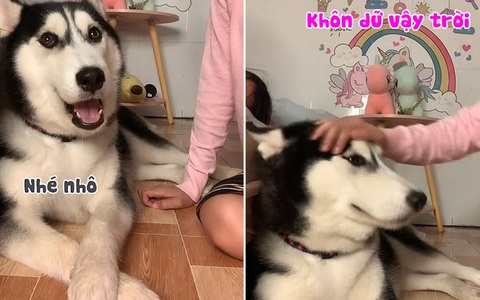 Cô chủ phát hoảng với chó cưng biết nói