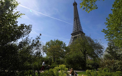 Pháp hủy bỏ kế hoạch chặt cây và xây cửa hàng dưới chân Tháp Eiffel