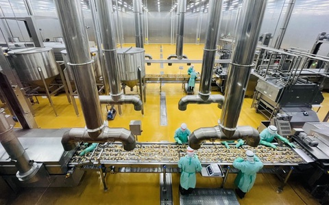 Hụt đơn xuất khẩu sang EU, doanh nghiệp tính chuyển hướng thị trường