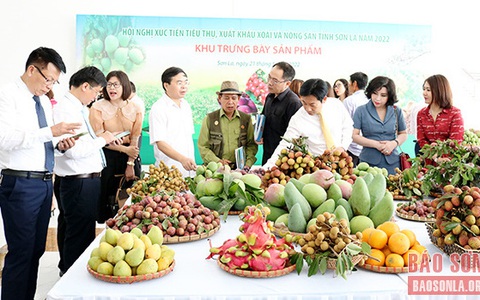 Chủ động đầu ra cho sản phẩm nhãn
