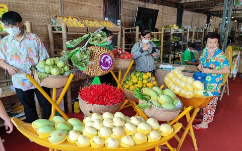 Hơn 1.000 doanh nghiệp tham gia khai mạc 'Kết nối cung cầu TP.HCM và các tỉnh thành'