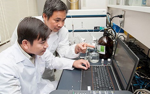 Nhà khoa học Việt tìm ra chất ức chế tế bào ung thư máu từ vỏ trấu