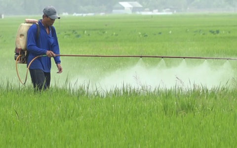 Cuộc thi ‘Lan tỏa năng lượng tích cực 2022’: Dâng hạt ngọc cho đời