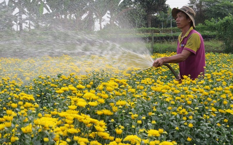 Ngành hoa kiểng rực rỡ bên dòng Sa Giang