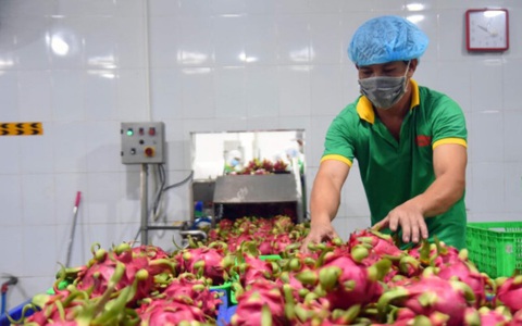 Thu nhập bình quân của người dân nông thôn Đồng Nai tăng hơn 7%