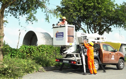 Ngành điện Sóc Trăng cắt, tỉa cây xanh, đảm bảo an toàn hành lang lưới điện trước dịp Tết