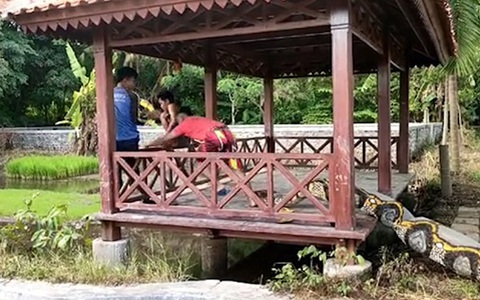 3 thanh niên hú hồn nhảy xuống ao khi thấy 'trăn khổng lồ' sau lưng