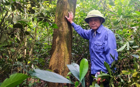 15ha đất rừng bỗng dưng về tay chủ khác dù dân vẫn cầm trong tay 'sổ đỏ'
