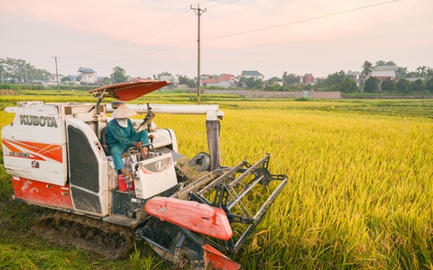 Hà Lan muốn hợp tác với TP.HCM phát triển các khu vực ven sông