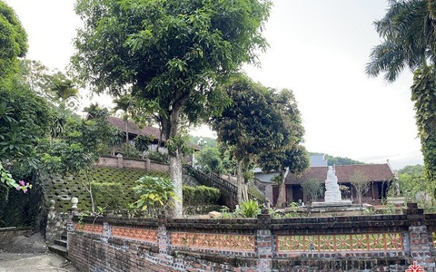 Phòng khám Y học cổ truyền Phúc Lâm Bảo Đường - địa chỉ miễn phí xoa bóp bấm huyệt