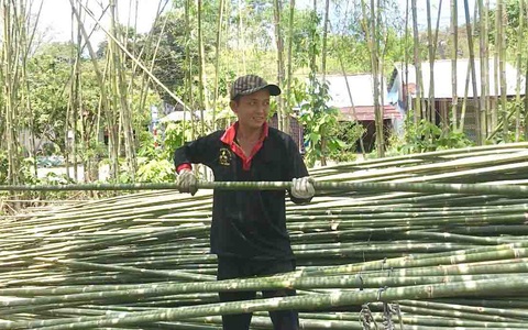 Những người ngược dòng ở lại quê