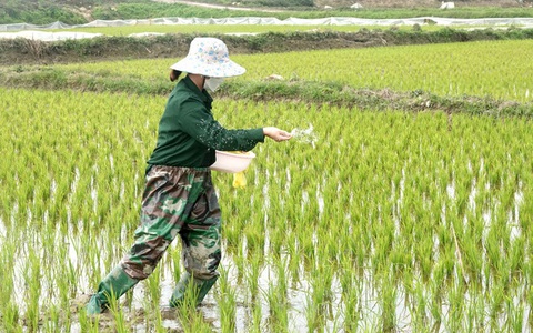 Tin sáng 10-5: Đề xuất cấm xuất khẩu phân bón; Thu hồi thuốc kháng sinh vi phạm chất lượng
