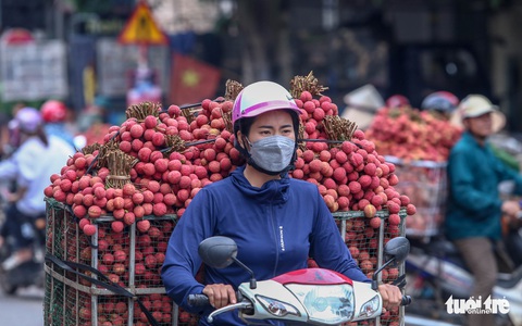 Video 'vải thiều rớt giá còn 5.000 đồng/kg', lãnh đạo Lục Ngạn nói gì?
