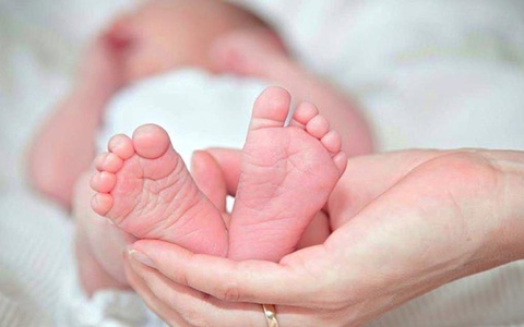 Phát hiện mới giúp điều trị tổn thương não ở trẻ sơ sinh