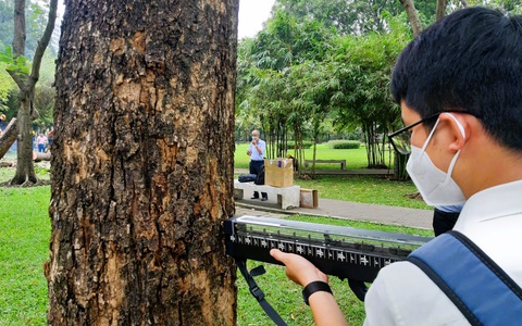 Dùng công nghệ kiểm tra sức khỏe cây xanh