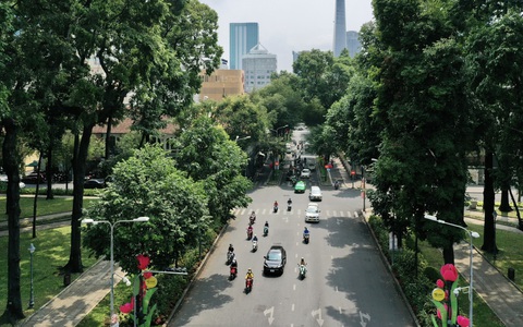 Cây xanh 'ngộp thở' với đô thị hóa