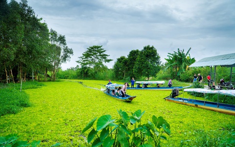 Về Rạch Giá đi rừng, chơi phố biển