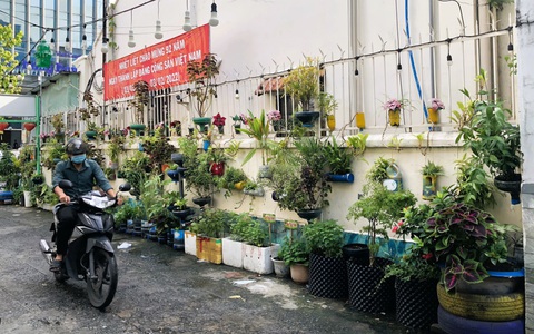 Vẽ tranh, trồng cây xanh 'ngăn' xả rác