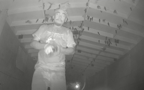 Trèo vào nhà yến, bẻ camera lấy trộm 600 tổ yến trị giá khoảng 100 triệu