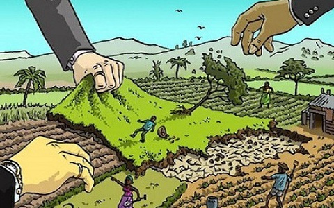 Lấn chiếm đất công không ai xử lý?