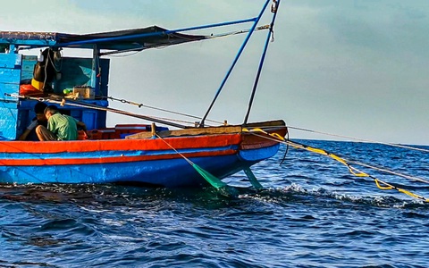 Phóng sự điều tra: Tàu 'giã điện' tàn sát trên biển