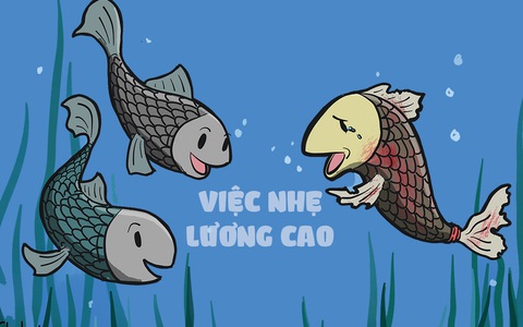 Này các ông ơi, tôi có việc này nhẹ nhàng mà lương cao lắm!