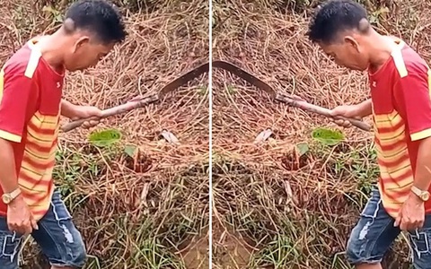 Người đàn ông đứng đơ như tượng vì sợ ong chích