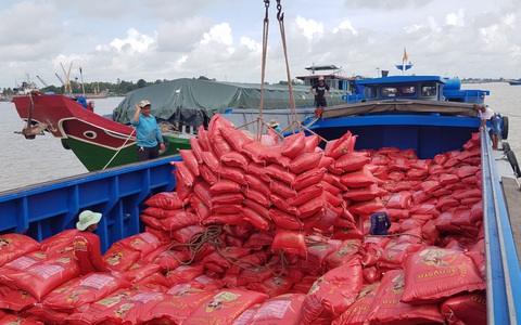 Đưa thương hiệu 'Vietnam Rice' vào thị trường cao cấp