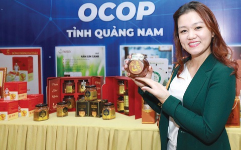 Lấy tâm huyết từ sâm Ngọc Linh gói trong từng sản phẩm