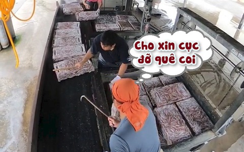 Khi chủ bảo ăn lương theo số lượng