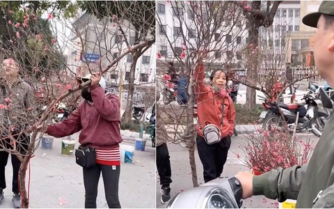 Màn mặc cả giá đào Tết bá đạo của bác trai