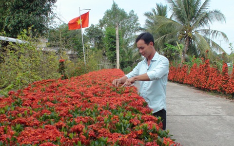 Hàng rào đỏ rực tại miền Tây, ai qua cũng ngoái nhìn