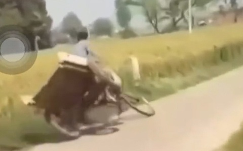 Chàng trai bị bạn thân báo hại ôm cua xuống ruộng lúa