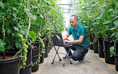 Làm vườn 'thu hoạch' data