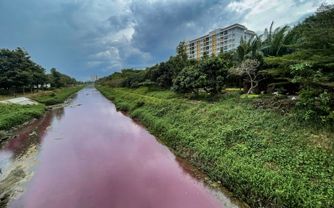 TP Thủ Đức: Nước kênh chuyển màu đỏ thẫm, người dân hoang mang