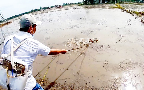 Nạn xiệt cá lại rộ lên ở miền Tây, bắt được lại than nghèo kể khổ