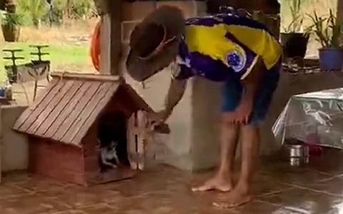 Chú chó bực bội khi bị chàng trai làm phiền