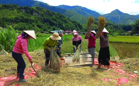 Ở với cả thế giới