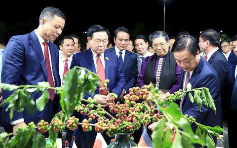 Hợp tác, liên kết là 'chìa khóa' phát triển bền vững ngành cà phê Sơn La