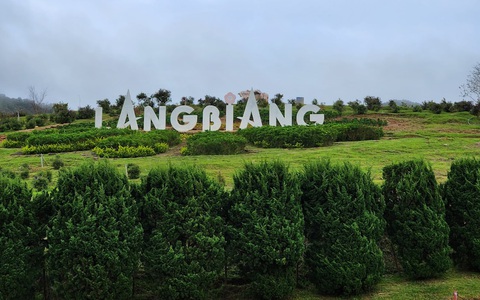 Tạm dừng đón khách ở Langbiang sau vụ du khách Hàn Quốc té tử vong
