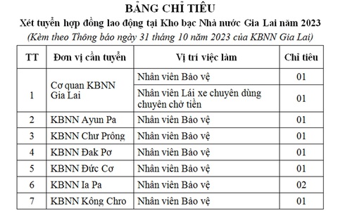 Kho bạc Nhà nước Gia Lai xét tuyển 9 nhân viên