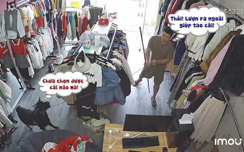 Chủ shop quần áo khổ sở với hai con dê chạy vào quán