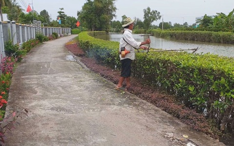 Góc nhìn trưa nay: Hàng rào mắm - mô hình độc đáo chống sạt lở ở Cà Mau