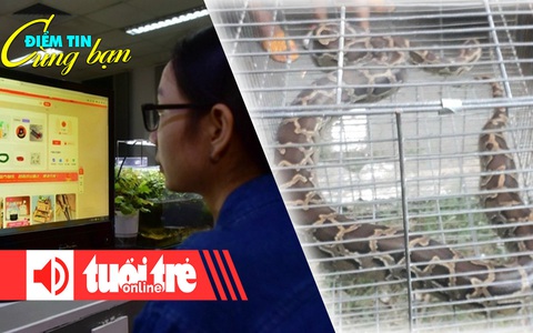 Điểm tin 8h: Giải mã hàng Trung Quốc 'bao nhanh, bao rẻ'; Bắt trăn đất tại bãi xe chung cư