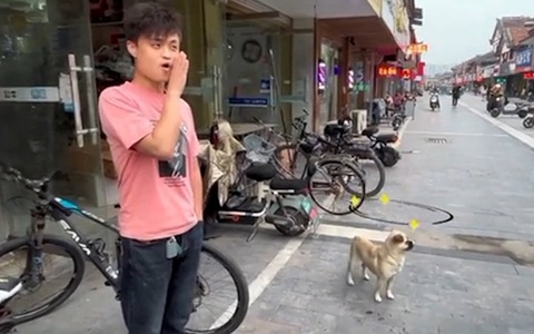 Chàng trai giả tiếng chó sủa troll chú cún