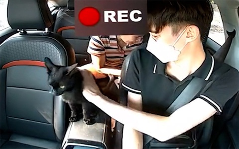 Được khách bo tiền, tài xế liền có thái độ yêu mèo